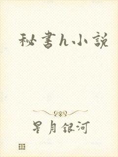 秘书h小说