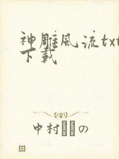 神雕风流txt下载