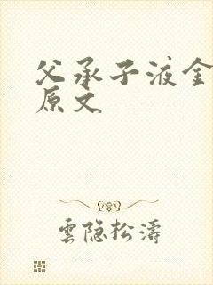 父承子液金银花原文封面