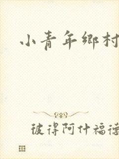 小青年乡村猎艳封面
