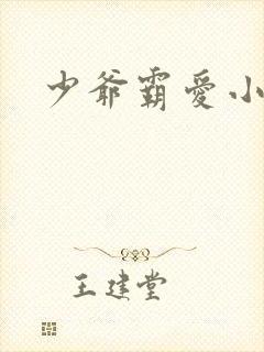 少爷霸爱小丫头