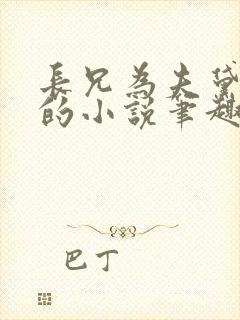 长兄为夫黛珂妃的小说笔趣阁全文封面
