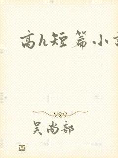 高h短篇小说