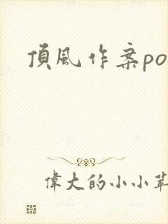 顶风作案po封面