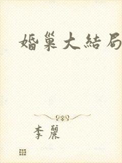 婚巢大结局封面