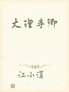 大理寺卿