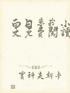 白日梦我小说全文免费阅读封面