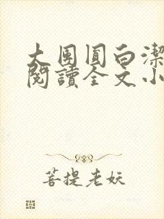 大团圆白洁免费阅读全文小说