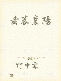 黄蓉襄阳封面