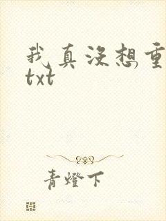 我真没想重生啊txt
