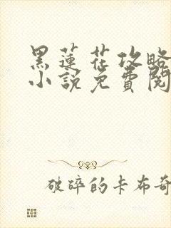 黑莲花攻略手册小说免费阅读