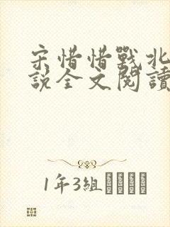 宋惜惜战北望小说全文阅读