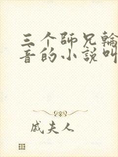 三个师兄轮流上音的小说叫什么封面