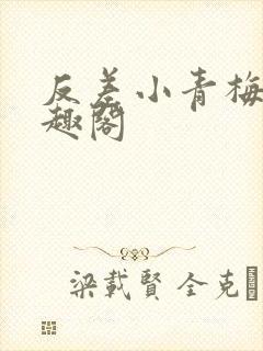反差小青梅 笔趣阁