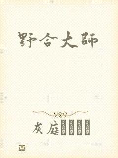 野合大师封面