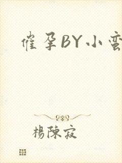 催孕BY小蛮腰封面