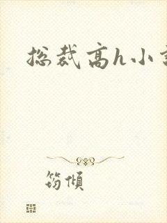 总裁高h小说