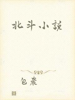 北斗小说