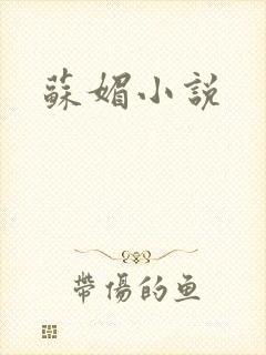 苏媚小说