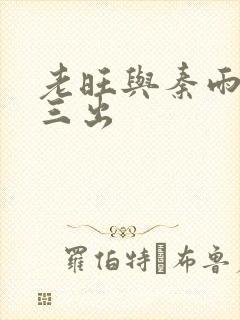 老旺与秦雨三进三出封面