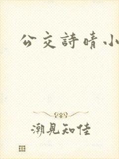 公交诗晴小说