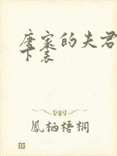 唐家的夫君们帘下衾