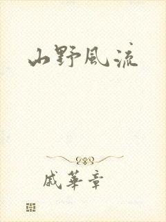 山野风流封面