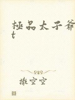 极品太子爷txt
