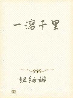 一泻千里封面