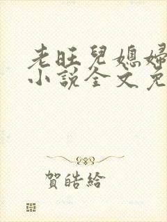 老旺儿媳妇秦雨小说全文免费阅读封面