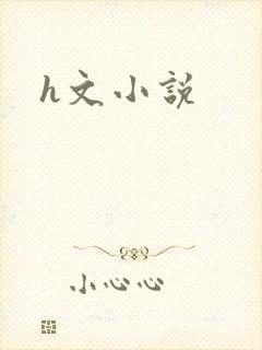 h文小说
