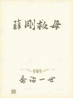 薛刚救母封面