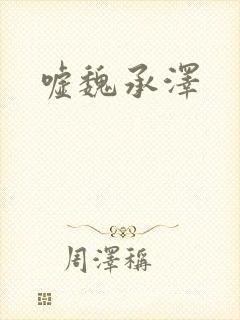 嘘魏承泽封面
