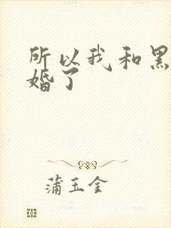所以我和黑粉结婚了封面