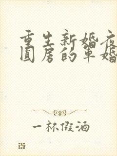 重生新婚夜正在圆房的军婚封面