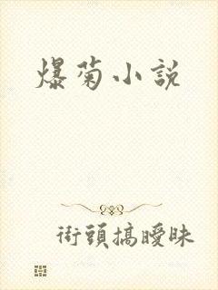 爆菊小说