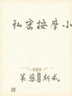 私密按摩小说封面