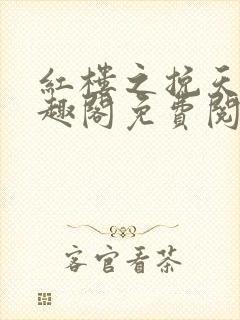 红楼之挽天倾笔趣阁免费阅读