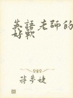 英语老师的兔子好软
