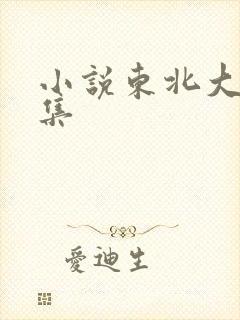 小说东北大炕全集