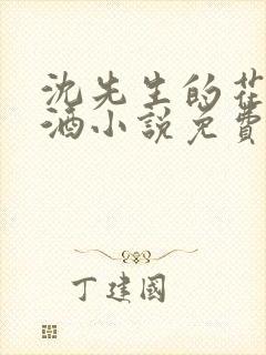 沈先生的花式调酒小说免费阅读