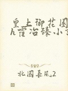 皇上御花园hlh霍冶臻小说