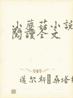 小蘑菇小说免费阅读全文