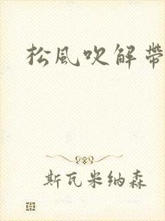 松风吹解带封面