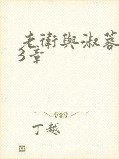 老卫与淑蓉第13章
