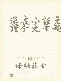 深夜小说免费阅读全文笔趣阁