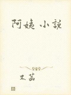 阿姨 小说