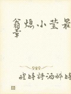 翁熄小莹最新节章