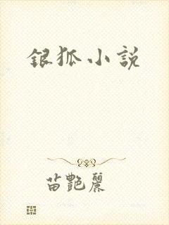 银狐小说封面