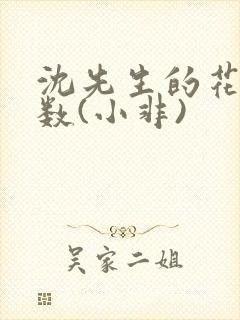 沈先生的花式调数(小非)